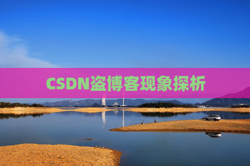 CSDN盗博客现象探析 CSDN盗博客现象探析